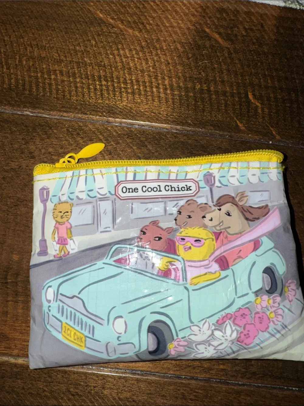 One Cool Chick Coin Purse